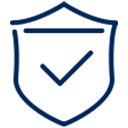 Customs Protection Icon